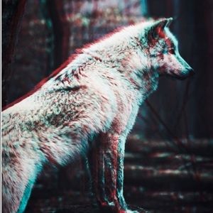 Meet your Posher, Ian